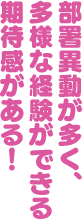 部署異動が多く、多様な経験ができる期待感がある！